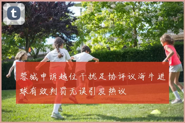 蓉城申诉越位干扰足协评议海牛进球有效判罚无误引发热议