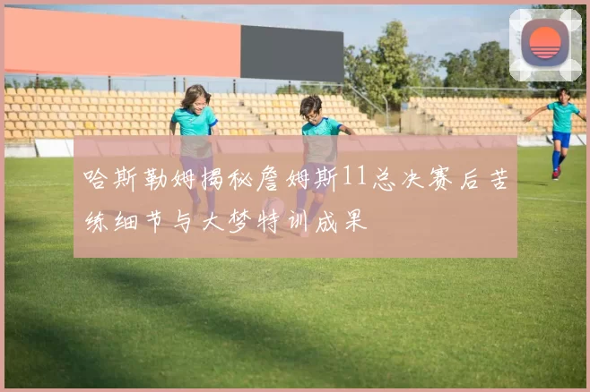 哈斯勒姆揭秘詹姆斯11总决赛后苦练细节与大梦特训成果